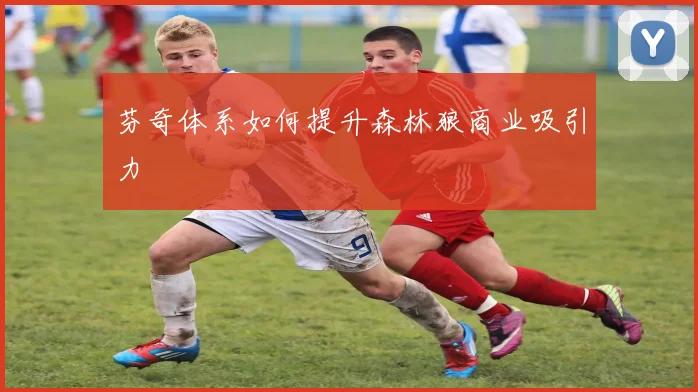 芬奇体系如何提升森林狼商业吸引力