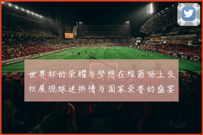 世界杯的荣耀与梦想在绿茵场上交织展现球迷热情与国家荣誉的盛宴