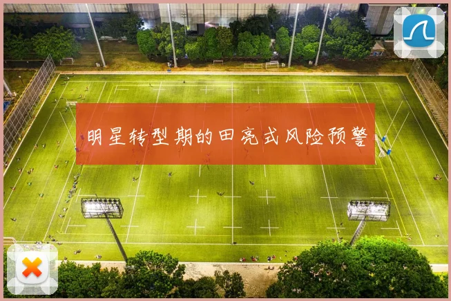 明星转型期的田亮式风险预警