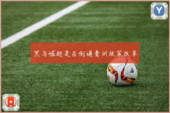 黑马崛起是否倒逼青训政策改革