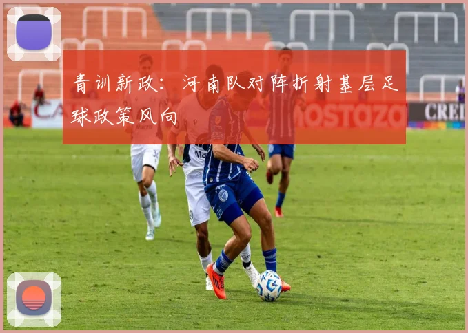 青训新政：河南队对阵折射基层足球政策风向