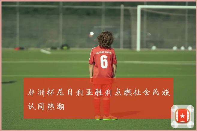 非洲杯尼日利亚胜利点燃社会民族认同热潮