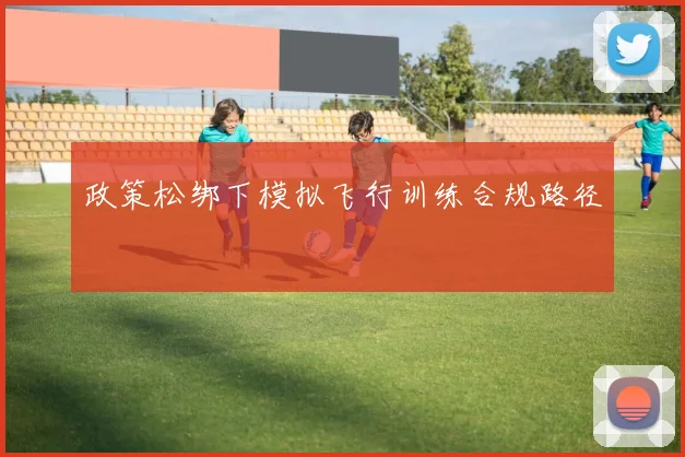 政策松绑下模拟飞行训练合规路径