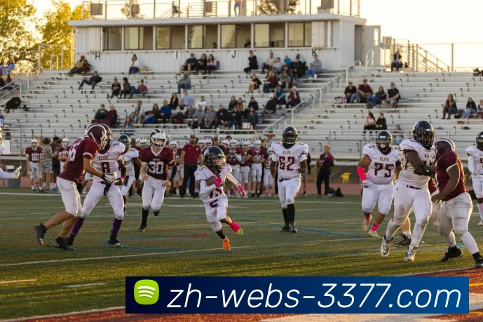 3377APP 体育赛事宣传图